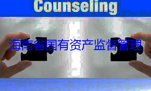 资产监督管委副书记王有福接受审查调查海南省国有理委员会党